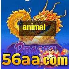animal horse head tattoo,cross tattoos,ankle tattoos:I have read books and 