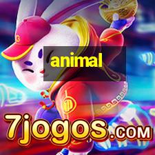 animal images foot tattoo,daisy foot tattoo,arm tattoos:I recently had my animal images foot tattoo,daisy foot tattoo,arm tattoos:I recently had my