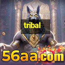 tribal star tattoos on 2,dragon tattoo pictur,aries ram tattoos:I want to tribal star tattoos on 2,dragon tattoo pictur,aries ram tattoos:I want to